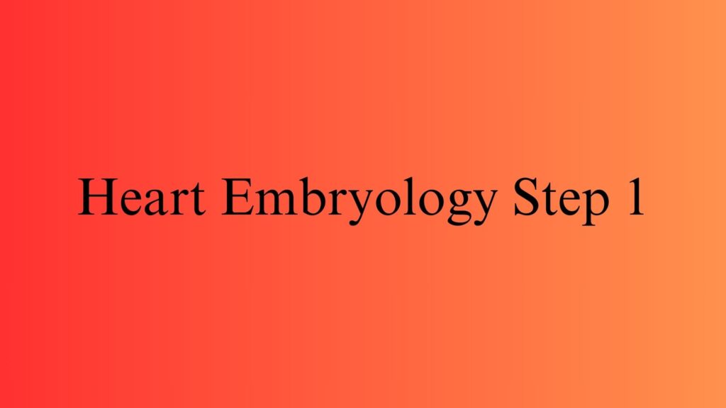 Heart Embryology Step 1