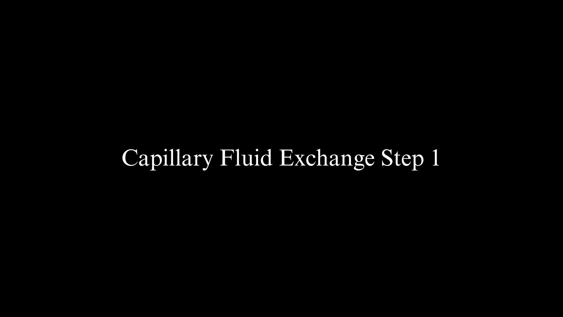 Capillary Fluid Exchange Step 1