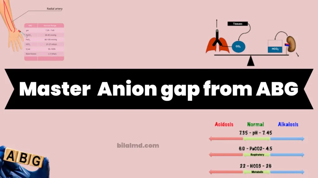 master anion gap calculator