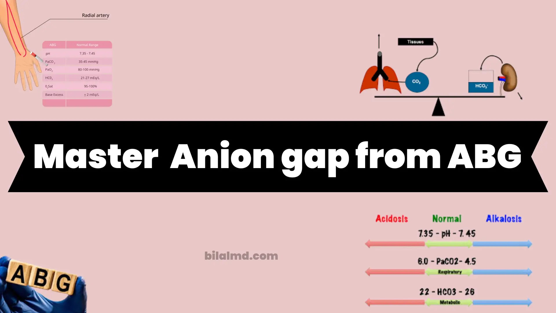 master anion gap calculator