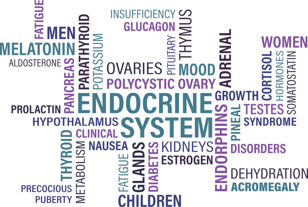 Endocrine Made Simple For NRE NLE Step 1 – BilalMD