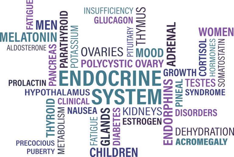 Endocrine Made Simple