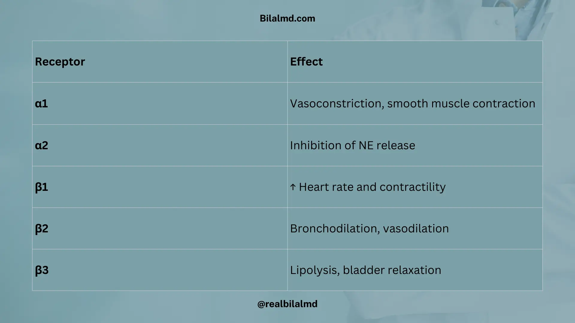 Adrenergic receptors table with alpha and beta subtypes and their effects on heart, lungs, vessels, and bladder