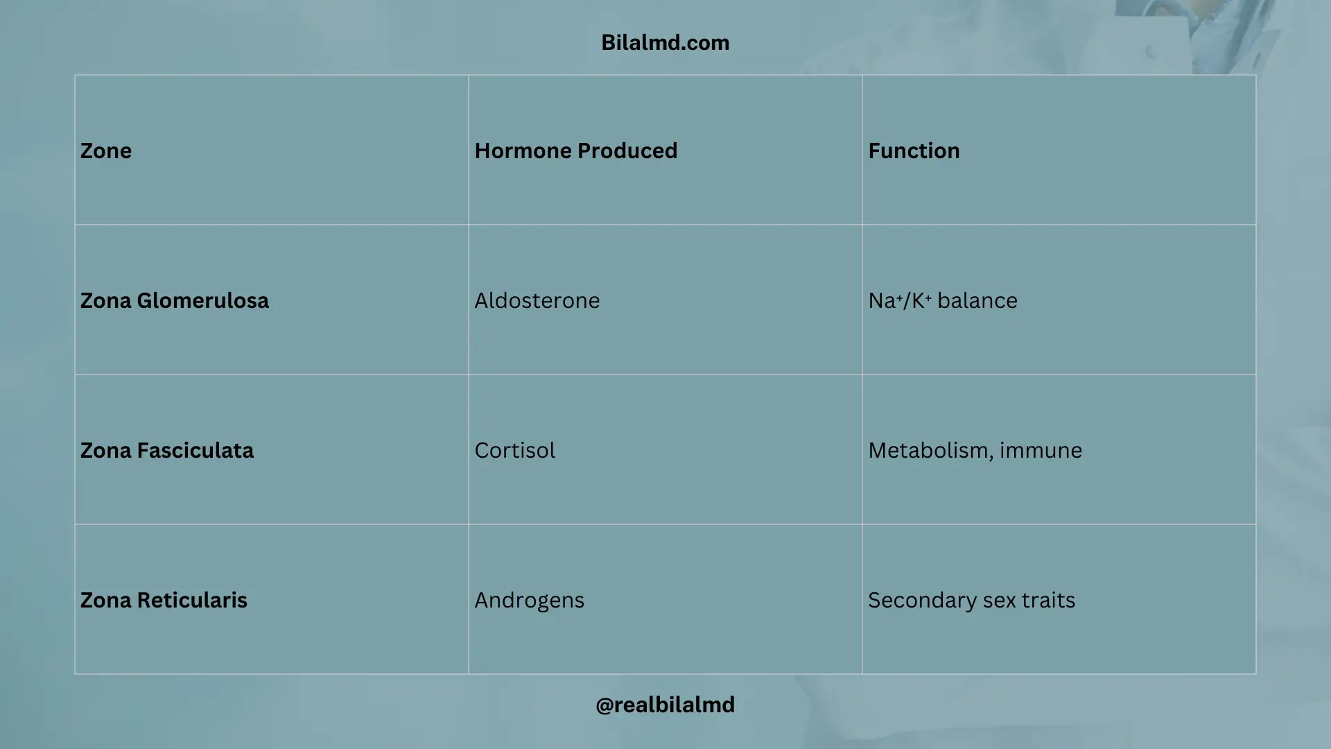 Table showing adrenal gland zones with hormones and adrenal disorders with features.