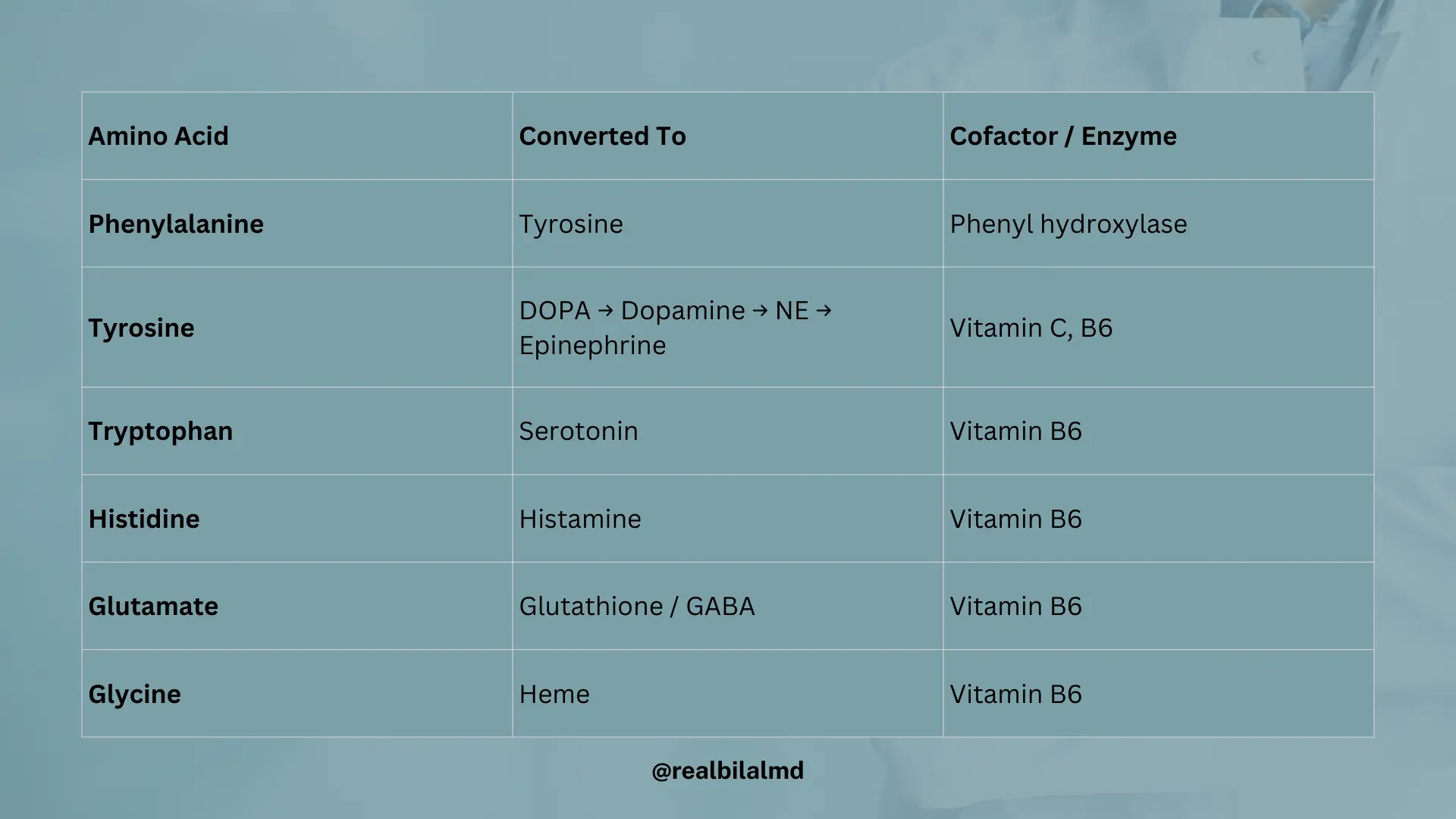 Table showing amino acid derivatives, what they are converted to, and cofactors/enzymes involved.