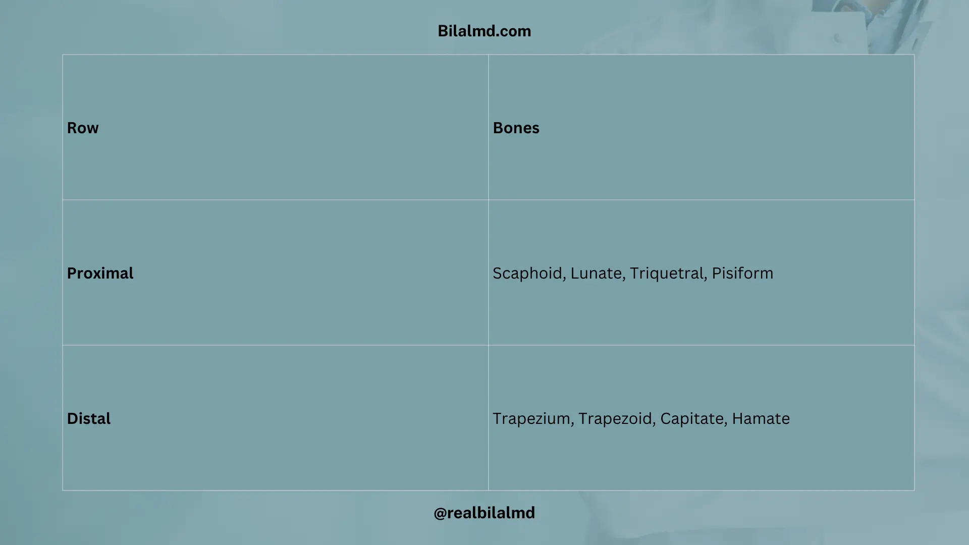 Carpal bones by row: scaphoid, lunate, triquetral, pisiform (proximal) and trapezium, trapezoid, capitate, hamate (distal).