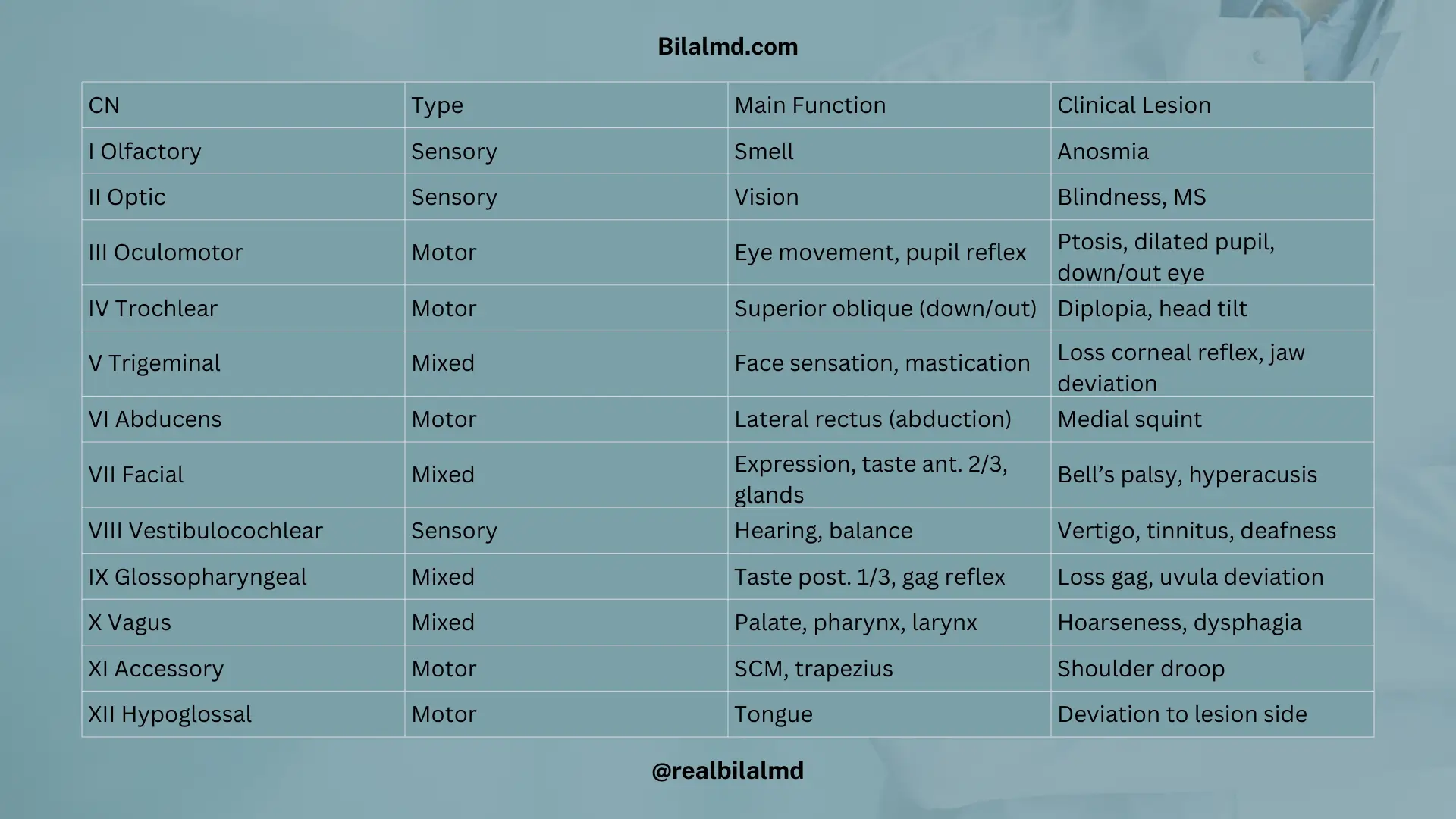 Cranial nerves I–XII summary: type, main functions, and classic lesion findings for each nerve.