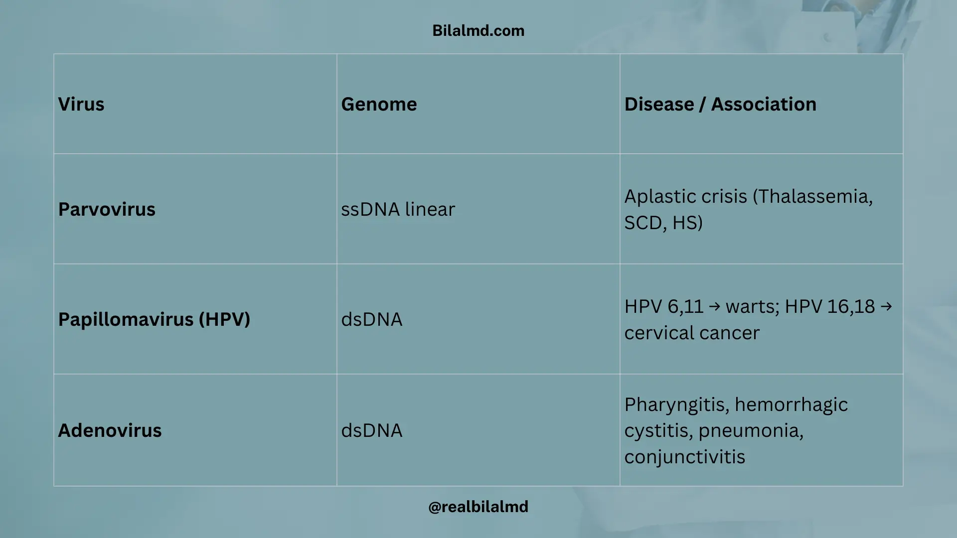 Table of selected DNA viruses including parvovirus, HPV, and adenovirus with diseases