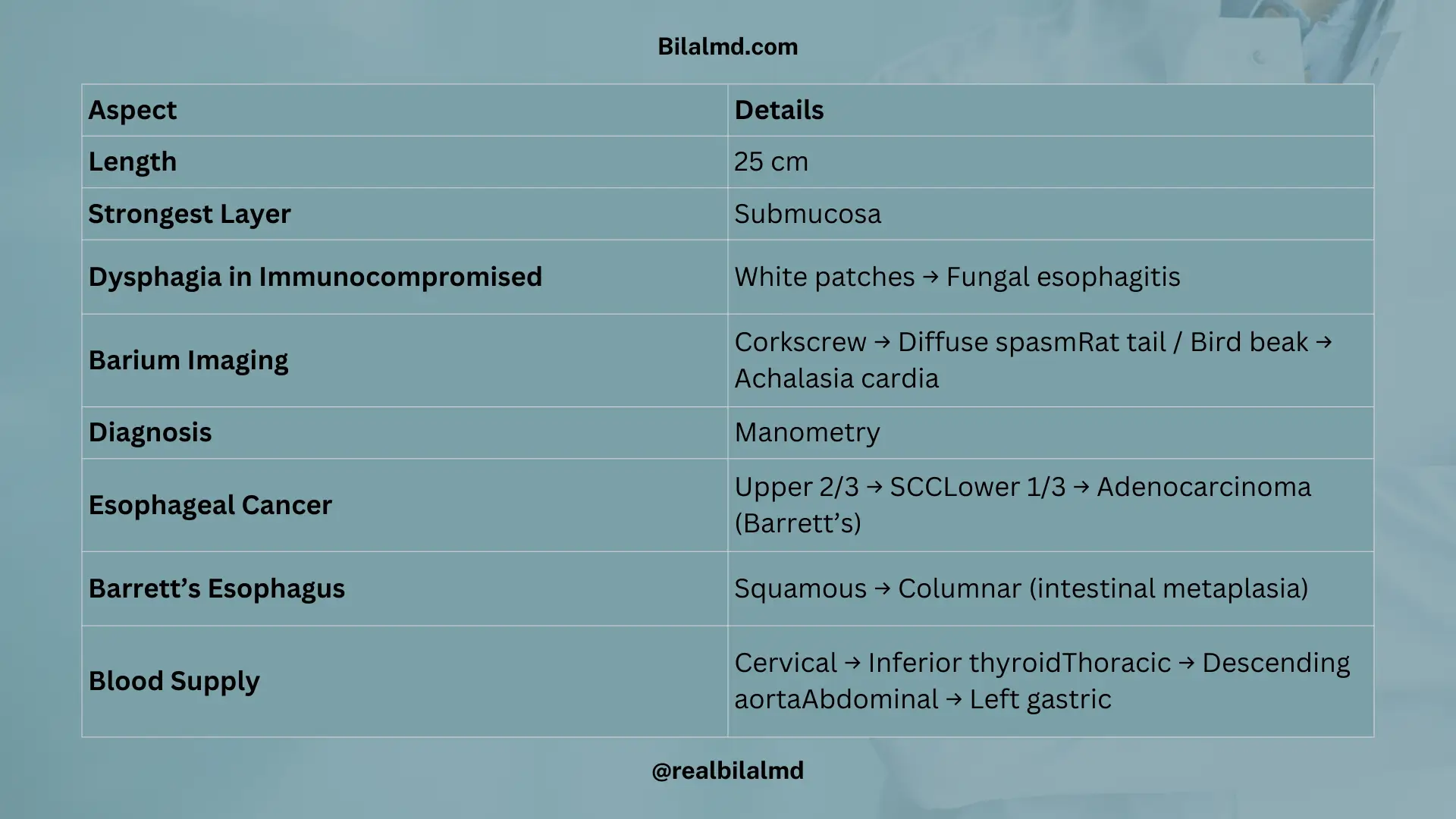 Table summarizing esophageal anatomy, imaging signs, Barrett’s esophagus, and cancers