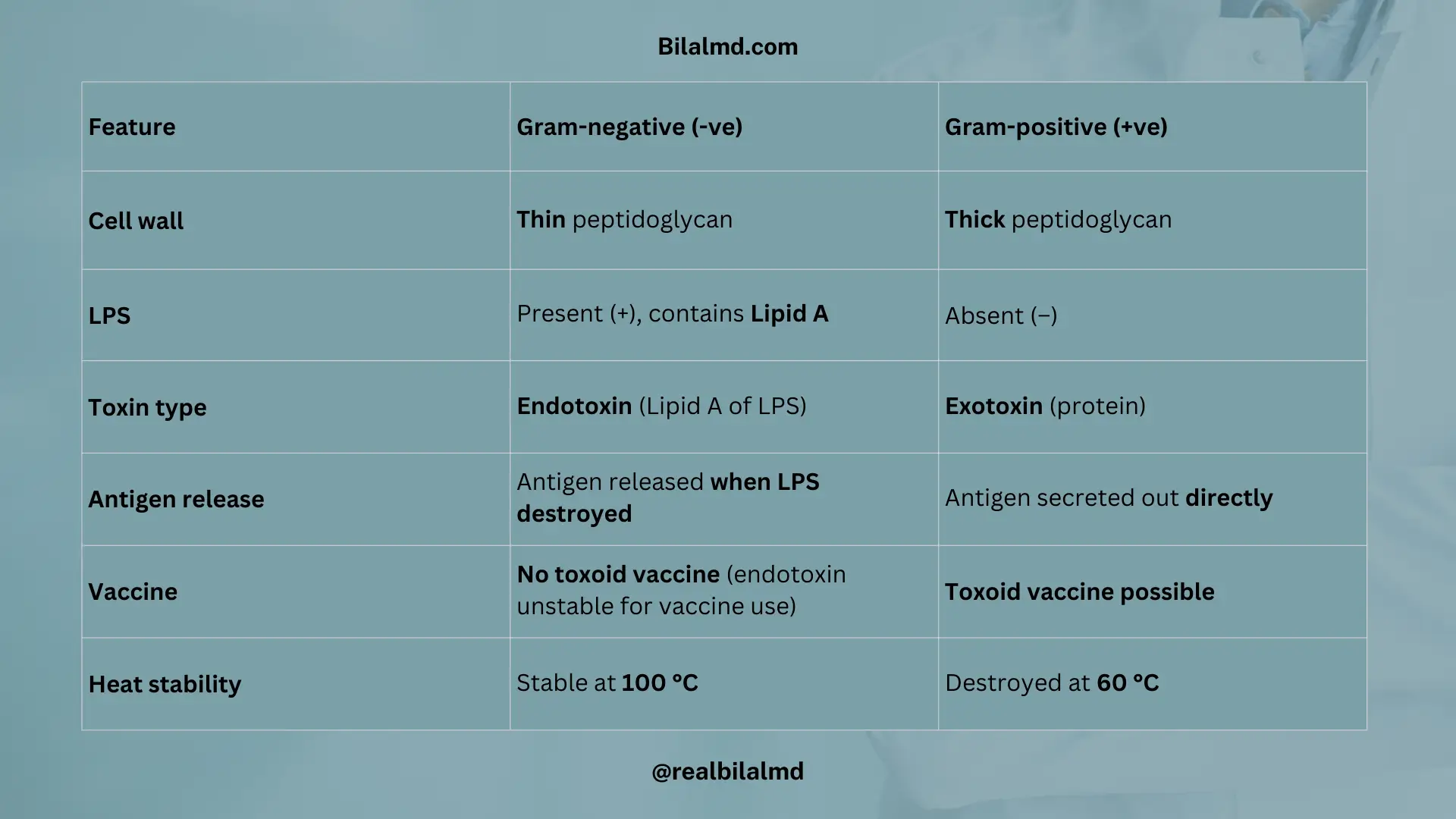 Comparison table showing differences between Gram-negative and Gram-positive bacteria, including cell wall thickness, LPS presence, toxin type, antigen release, vaccine availability, and heat stability