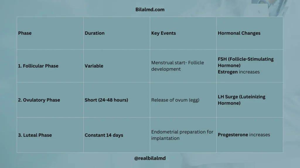 Table showing phases of menstrual cycle with duration, events, and hormones.