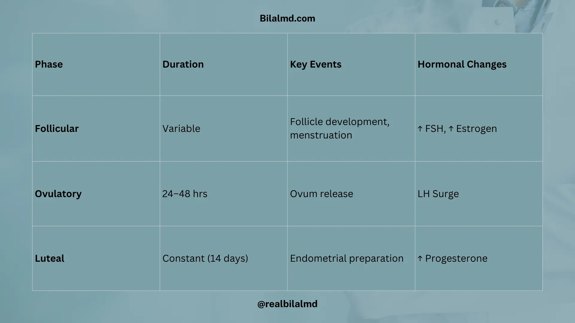 Table showing phases of menstrual cycle with duration, events, and hormones.