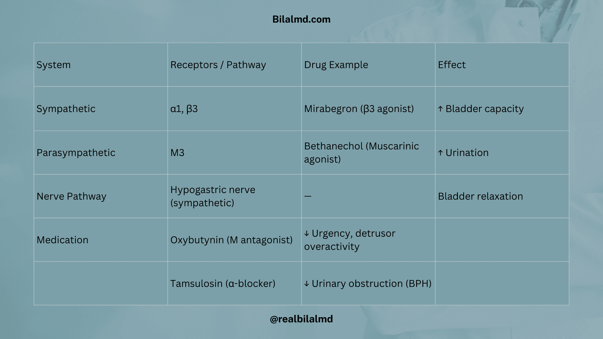 Micturition control table showing sympathetic and parasympathetic roles with drugs like bethanechol, oxybutynin, mirabegron, and tamsulosin.