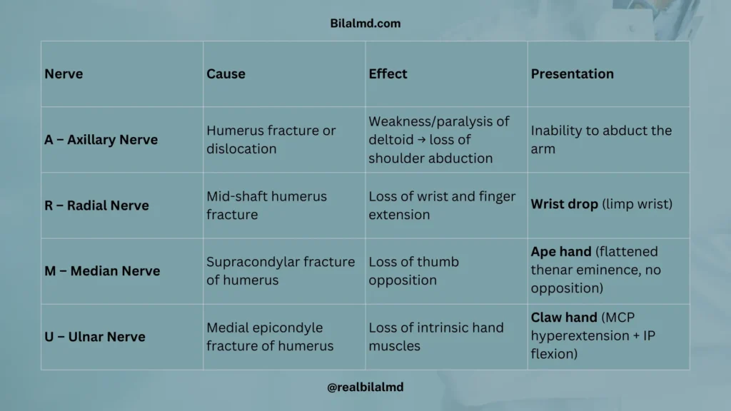 Upper limb nerve palsies (ARMU): axillary, radial, median and ulnar nerves with causes, effects, and clinical signs.