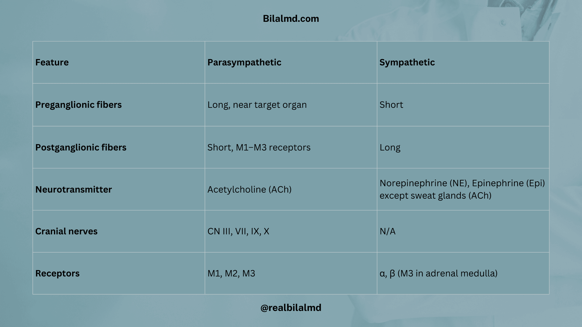 Table comparing parasympathetic and sympathetic nervous system with fibers, neurotransmitters, cranial nerves, and receptors.