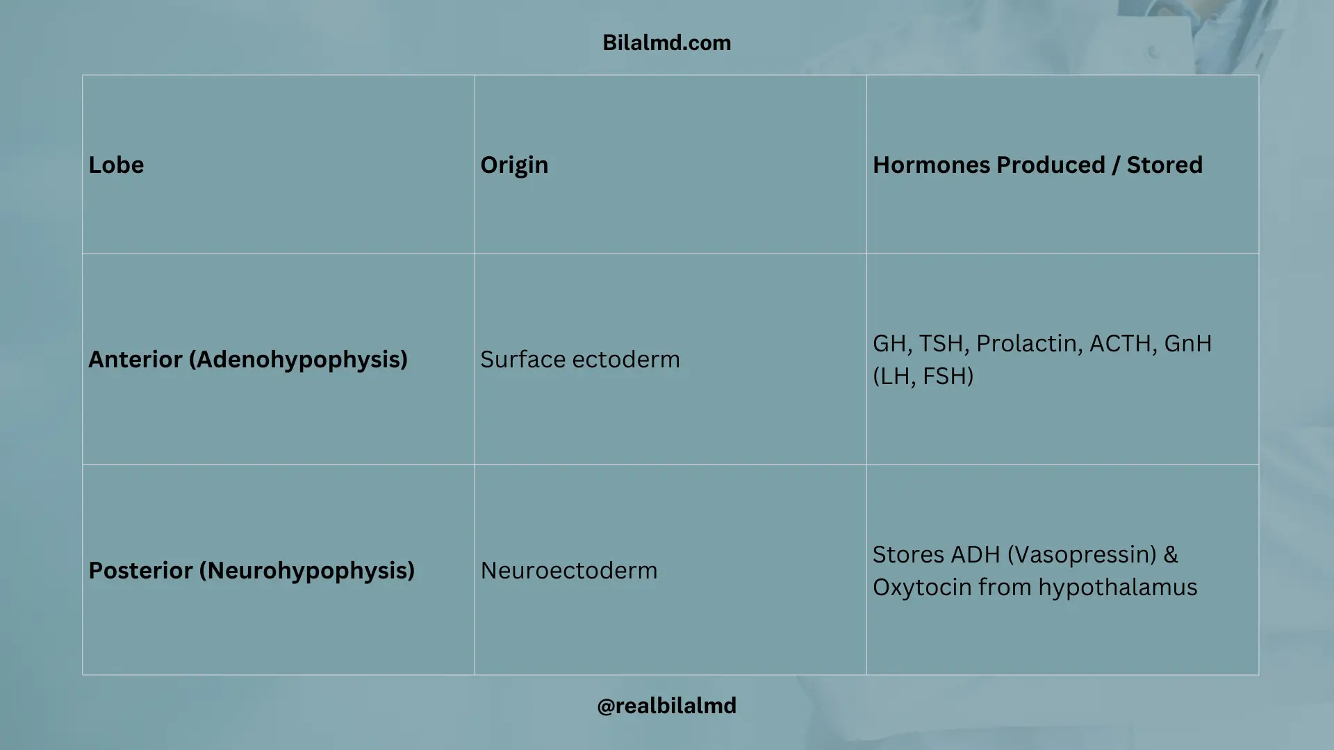 Table showing anterior and posterior pituitary lobes, their embryological origin, and hormones produced or stored.