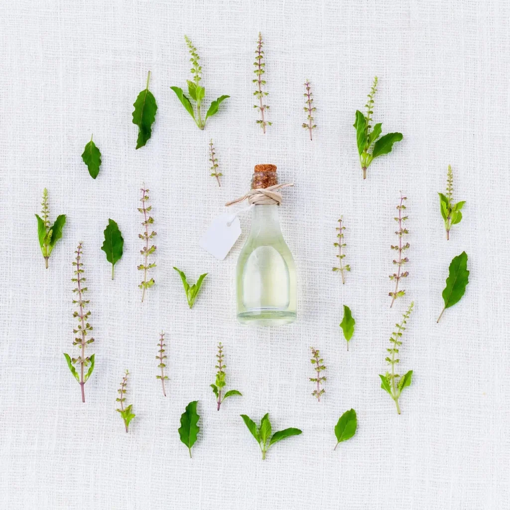 Natural herbs and spices rich in antioxidants arranged around a glass bottle of essential oil