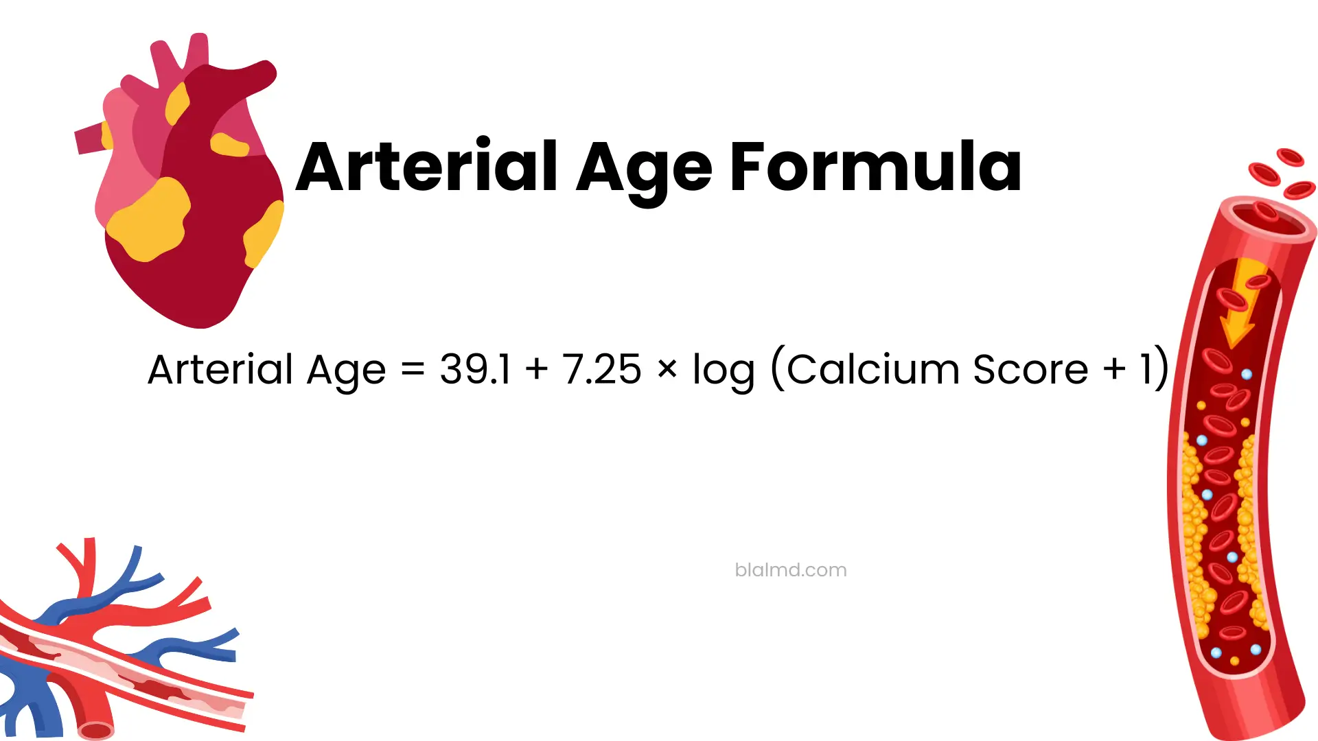 Arterial Age Formula illustration showing the equation ‘Arterial Age = 39.1 + 7.25 × log (Calcium Score + 1)’ alongside medical graphics of a human heart and a cross-section of an artery with plaque buildup, explaining how calcium score is used to estimate arterial age.