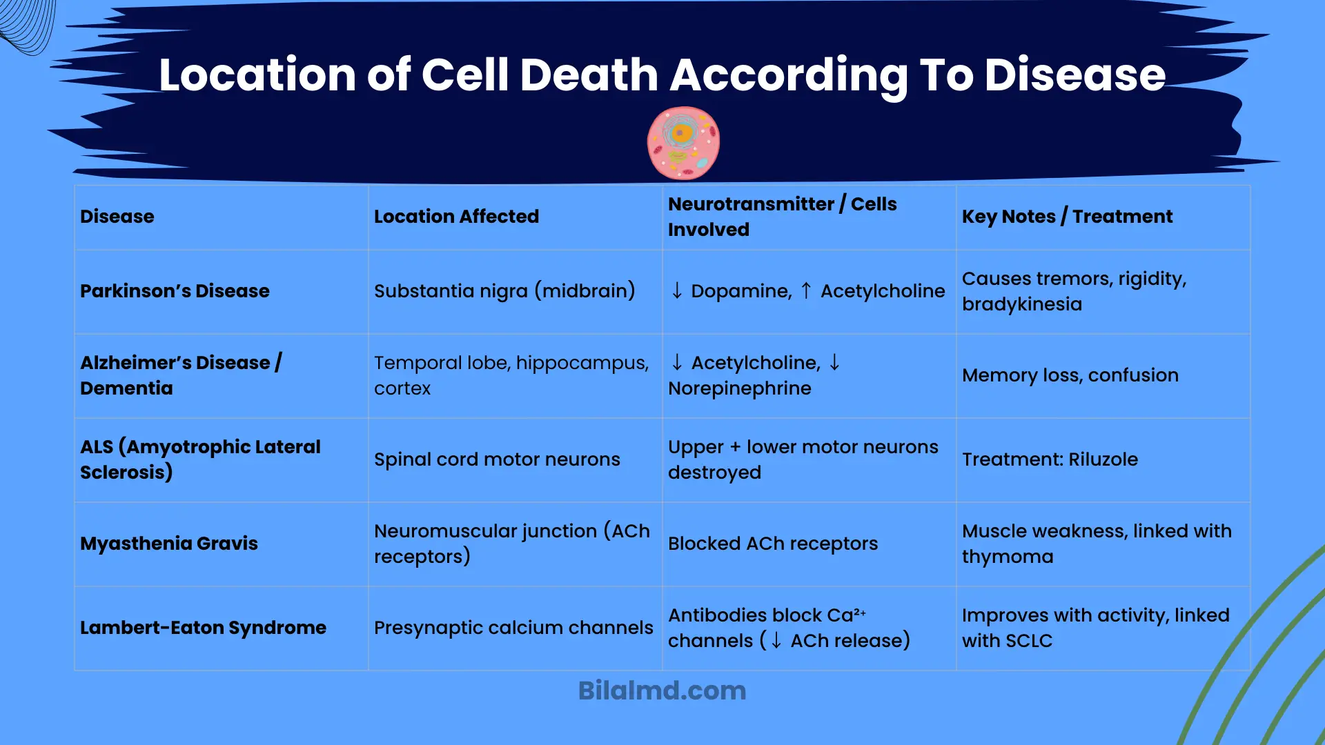 Table showing locations of cell death and neurotransmitter changes in Parkinson’s, Alzheimer’s, ALS, Myasthenia Gravis, and Lambert-Eaton Syndrome.
