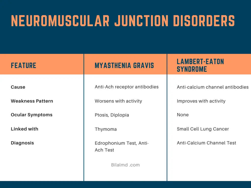 Comparison table of Myasthenia Gravis and Lambert-Eaton Syndrome showing causes, weakness pattern, ocular symptoms, associations, and diagnostic tests.